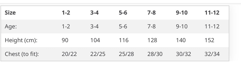 Lapland 2025 family jumpers - children’s