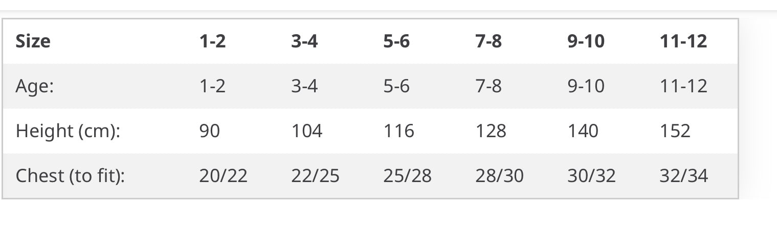 Lapland 2025 family jumpers - children’s