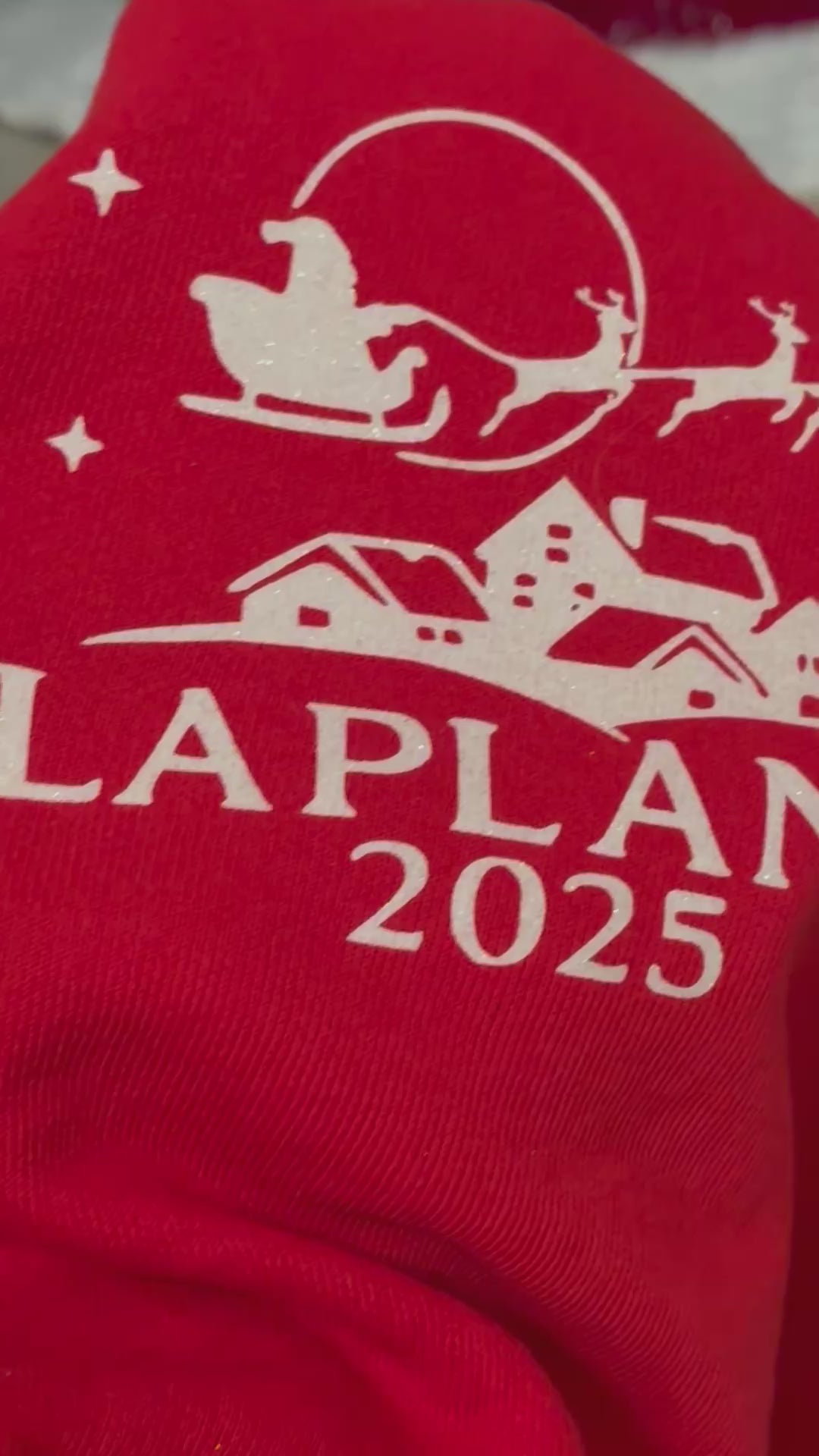 Lapland 2025 family jumpers - adults